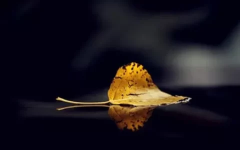 姓名测试你一辈子是什么命