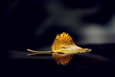 姓名测试你一辈子是什么命