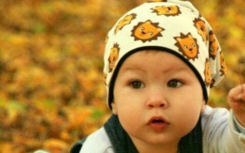 起什幺名字的人一生多磨难