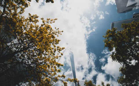 名字是如何影响人的事业、财运、婚姻的