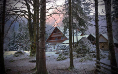 看看你的名字属于什幺类型