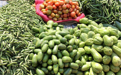 蔬菜批发取个什么店名发财好听点 蔬菜批发取个什么店名发财好听点