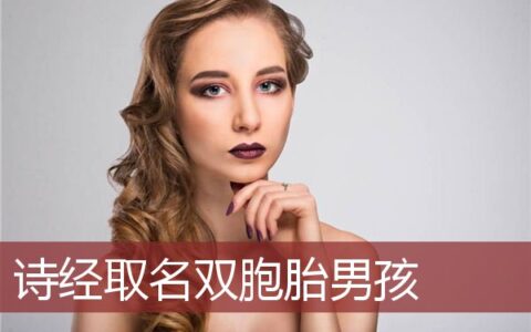 诗经取名双胞胎男孩