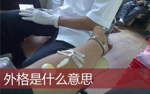 外格是什么意思