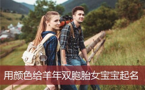 用颜色给羊年双胞胎女宝宝起名