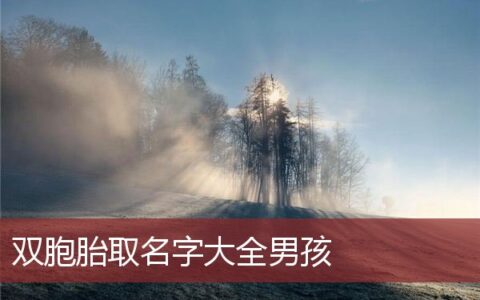 双胞胎取名字大全男孩