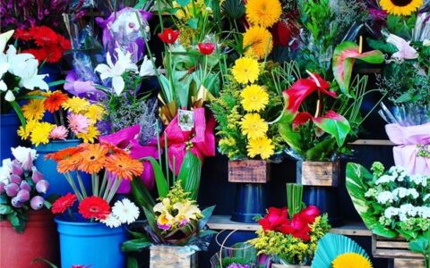 寓意好的鲜花店名字推荐