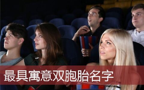 最具寓意双胞胎名字