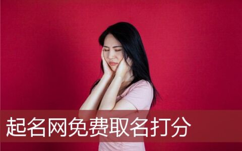 起名网免费取名打分