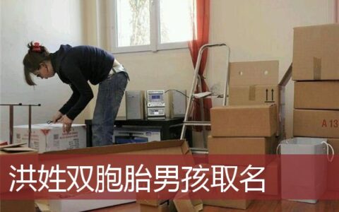 洪姓双胞胎男孩取名