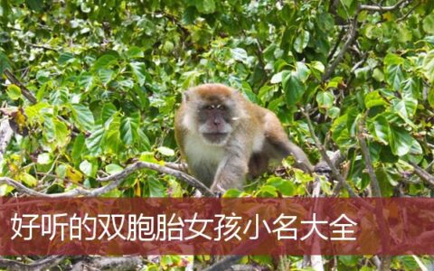 好听的双胞胎女孩小名大全