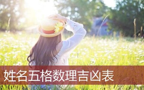 姓名五格数理吉凶表