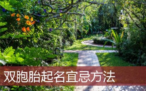 双胞胎起名宜忌方法