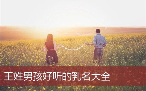 王姓男孩好听的乳名大全