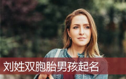 刘姓双胞胎男孩起名