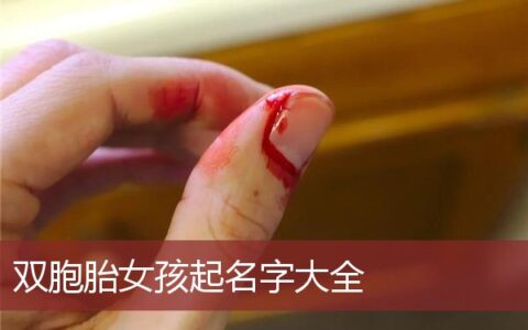 双胞胎女孩起名字大全