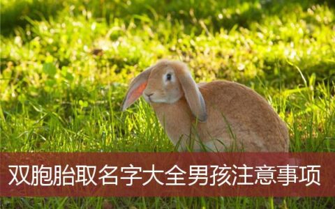 双胞胎取名字大全男孩注意事项
