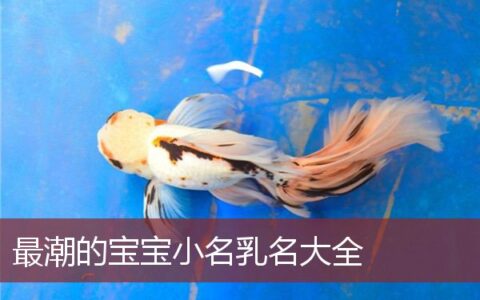 最潮的宝宝小名乳名大全