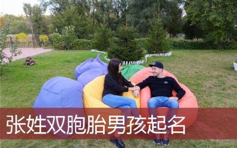 张姓双胞胎男孩起名