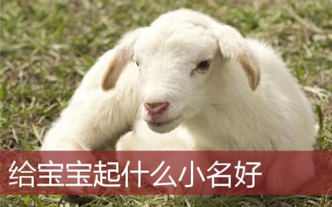给宝宝起什么小名好一点
