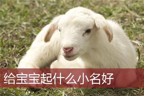 给宝宝起什么小名好