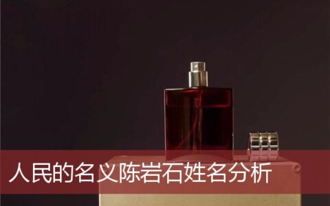 人民的名义陈岩石姓名分析