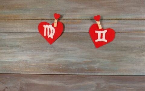 最受欢迎的龙凤胎名