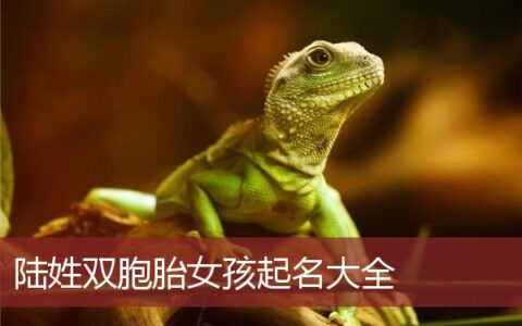 陆姓双胞胎女孩起名大全