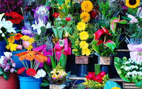 过目不忘的鲜花店名字