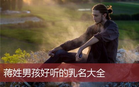 蒋姓男孩好听的乳名大全