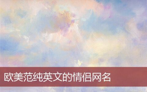 欧美范纯英文的情侣网名