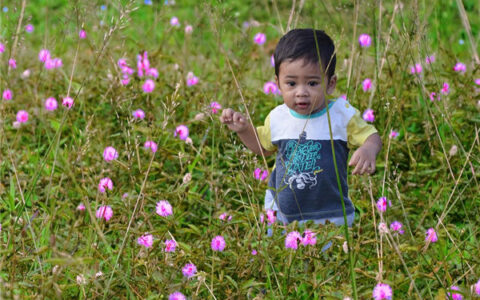 洋气好听的男孩乳名