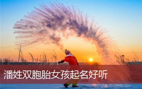 潘姓双胞胎女孩起名好听