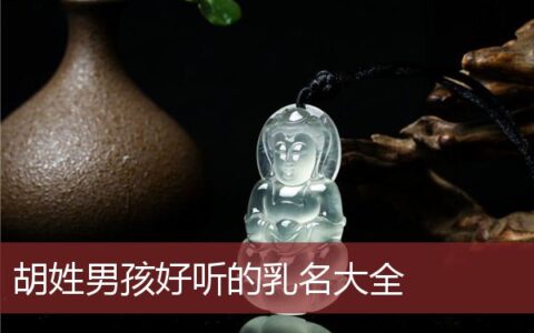 胡姓男孩好听的乳名大全