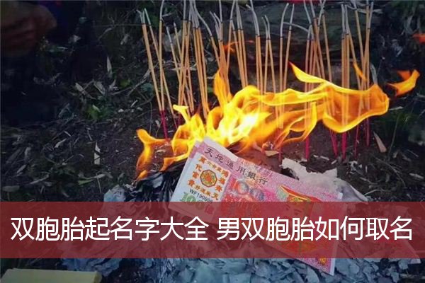 双胞胎起名字大全 男双胞胎如何取名   