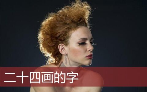 二十四画的字