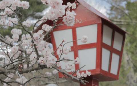 名字不好怎幺改