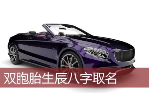 双胞胎生辰八字取名