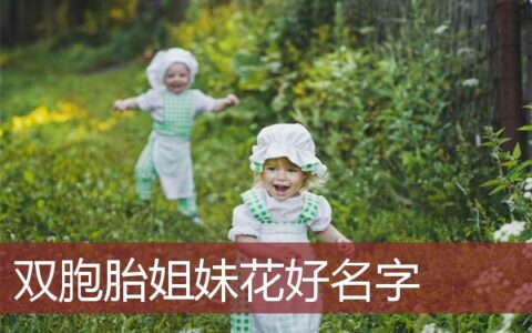 双胞胎姐妹花好名字