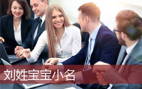 刘姓宝宝小名大全