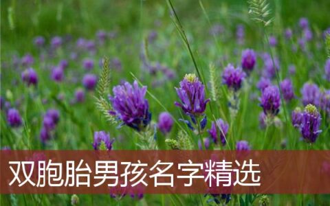 双胞胎男孩名字精选
