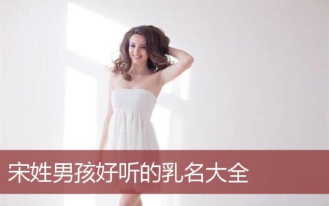 宋姓男孩好听的乳名大全