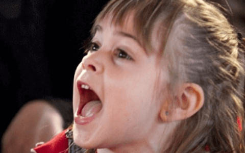 12生肖的名字中适合用哪些字