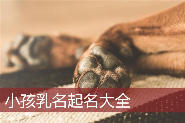 小孩乳名起名大全