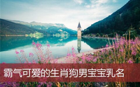 霸气可爱的生肖狗男宝宝乳名大全