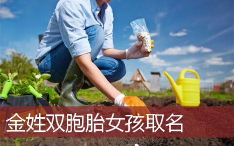 金姓双胞胎女孩取名