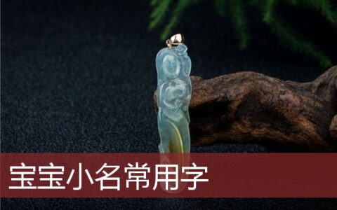 宝宝小名常用字大全