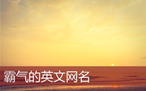 霸气的英文网名