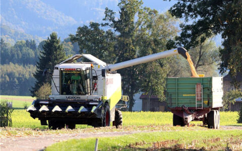 农业公司起名字大全免费两个字