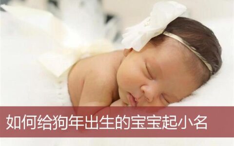 如何给狗年出生的宝宝起小名字